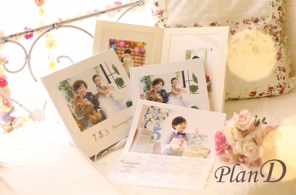 PlanD-1