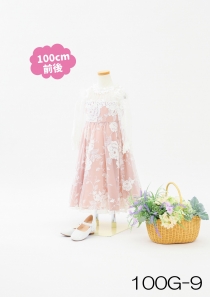 100G-9