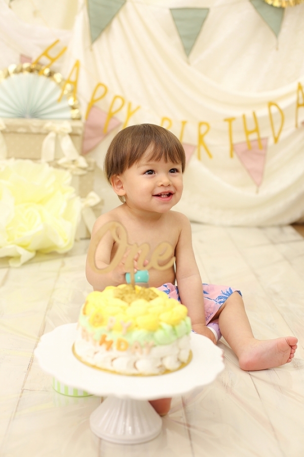 修正済データ (101)