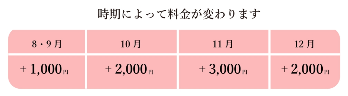 撮影のみ_アートボード 1 のコピー 6