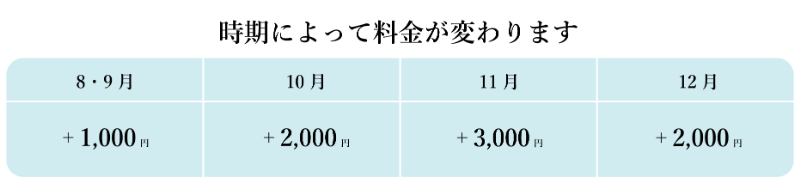 新プラン