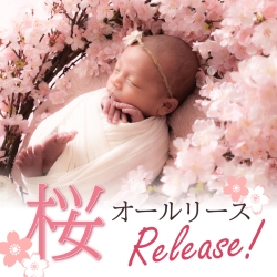 さくらブログ用