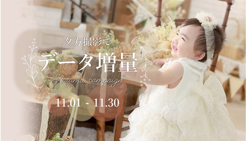 campaign