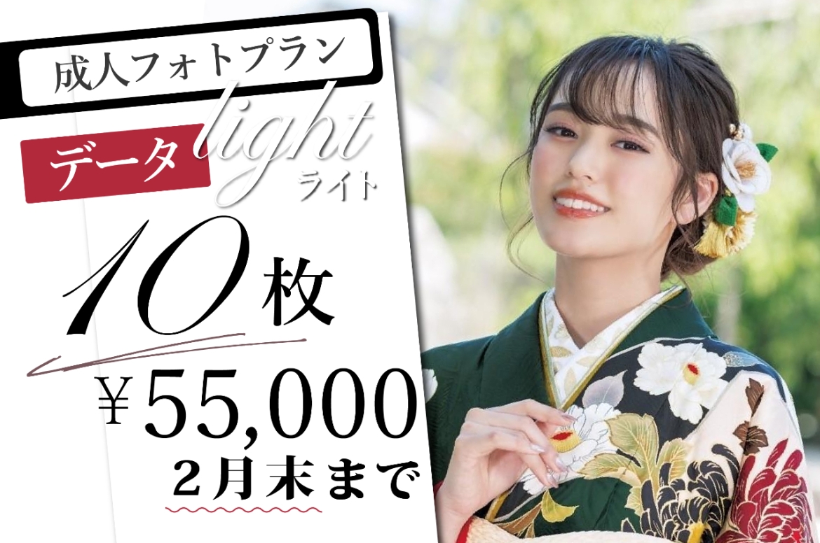 成人10だーたプラン_アートボード 1